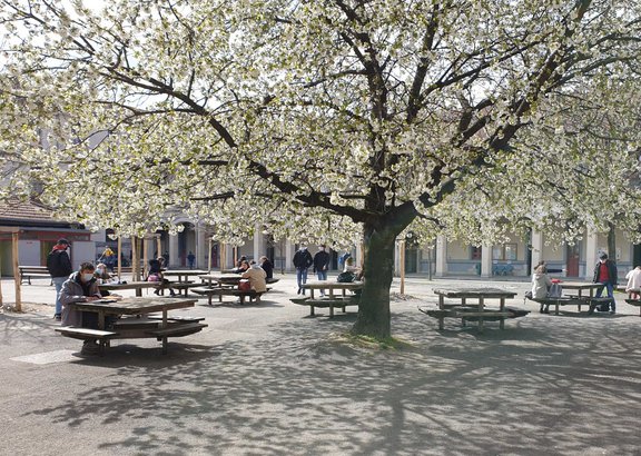 Étudiant travaillant cour B au printemps